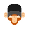 Monkey in Baseball cap. Gorilla face. Vector illustration