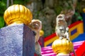 Monkey in Batu Caves Malaysia Royalty Free Stock Photo