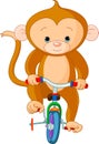 Monkey on Bicycle Royalty Free Stock Photo