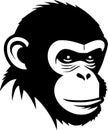 Monkey - black and white vector illustration
