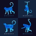 Monkey - Blue low poly vector set Design