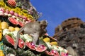 Monkey buffet festival in Thailand