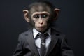 Monkey in a business suit with a serious expression Royalty Free Stock Photo