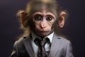 Monkey in a business suit with a serious expression Royalty Free Stock Photo