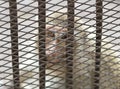 Monkey in a cage with sad eyes Royalty Free Stock Photo