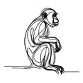 A monkey can be seen in a line drawing, sitting on a white background.