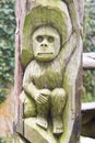 Monkey carved on the wood