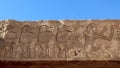 Monkey carvings on the wall of Habu temple in Luxor Royalty Free Stock Photo