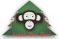 Monkey Royalty Free Stock Photo