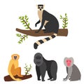 Monkey character animal different breads wild zoo ape chimpanzee vector illustration. Royalty Free Stock Photo