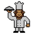 Monkey chef with pixel art Royalty Free Stock Photo