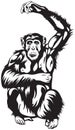 Monkey, Chimpanzee with raised hand vector illustration