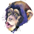 Monkey chimpanzee T-shirt graphics, monkey chimpanzee illustration with splash watercolor textured background. illustration water