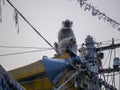 Langur Monkey on Indian street, climbed on building wall