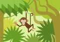 Monkey climber tree branch jungle flat cartoon vector animal