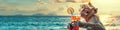 a monkey with a cocktail on the background of the beach. Selective focus Royalty Free Stock Photo