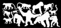 Monkey collection vector silhouette illustration isolated on black background. Royalty Free Stock Photo