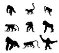 Monkey collection vector silhouette illustration isolated on white background.