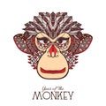 Monkey Color Face Royalty Free Stock Photo