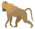 Monkey color icon. Jungle animal. Wild primate