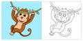 Monkey Coloring Book for Kids 2D Cartoon Style monkey hanging on a tree Royalty Free Stock Photo