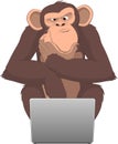 Monkey and computer Royalty Free Stock Photo