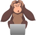 Monkey and computer Royalty Free Stock Photo