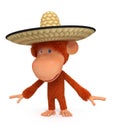 The monkey costs in a sombrero