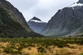 Monkey Creek, New Zealand Royalty Free Stock Photo