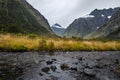 Monkey Creek, New Zealand Royalty Free Stock Photo