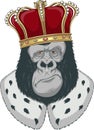 Monkey in a crown Royalty Free Stock Photo