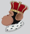 Monkey in a crown Royalty Free Stock Photo