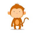 Monkey so cute
