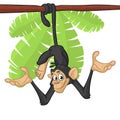 Cute Monkey Chimpanzee Hanging On Wood Branch. Vector Illustration Cartoon. Outlined.