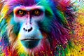 Monkey of different colors