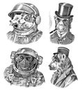 Monkey and Dogs astronaut, Bear in military style. Chimpanzee Spaceman dressed in Suit. Fashion Animal character. Hand
