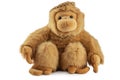 Monkey doll plush toy studio . Chimpanzee, jocko, gorilla, anthropoid, hominids