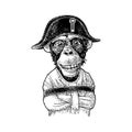 Monkey dressed in the french military uniform and cap. Vintage black engraving