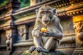 Monkey eating fruit at temple ruins Royalty Free Stock Photo