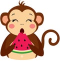 Monkey eating a slice of watermelon