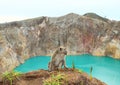 Monkey on edge of crater with lake Tin on Kelimutu