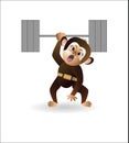Monkey is engaged with a barbell 2 Royalty Free Stock Photo
