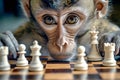 Monkey engages in serious chess match, showcasing intense focus and determination in a rustic setting with intricate details Royalty Free Stock Photo