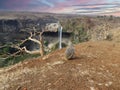 A monkey enjoying water fall in India