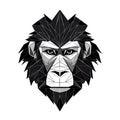 Monkey Face Icon, Baboon Portrait, Minimal Gorilla Head Symbol, Chimpanzee Mascot Silhouette