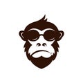 monkey logo design template Royalty Free Stock Photo