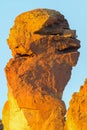 Monkey Face Pillar at Smith Rock Closeup central oregon