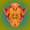 Monkey face with low poly art