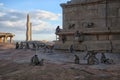 Monkey family among the ruins of ancient city, India Royalty Free Stock Photo