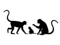 Monkey family. Silhouettes of animals Royalty Free Stock Photo